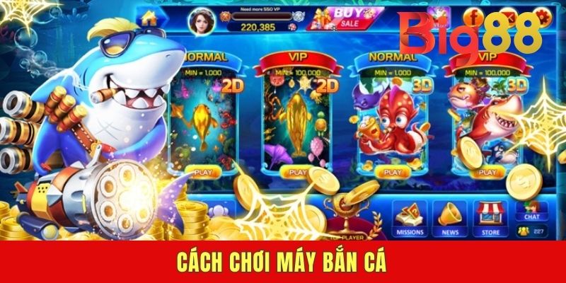 Cách Chơi Máy Bắn Cá Đúng Chuẩn Cho Newbie Vào Nghề 2025
