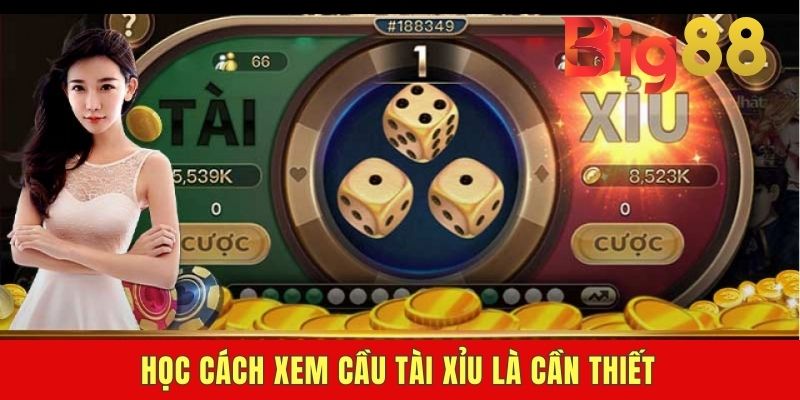 Học cách xem cầu tài xỉu là cần thiết
