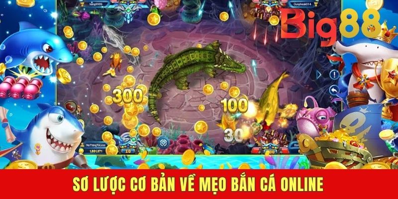 Sơ lược cơ bản về mẹo bắn cá online
