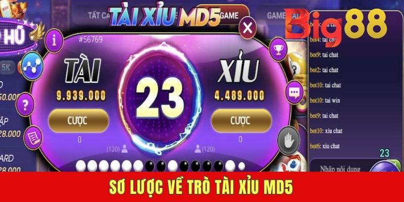 Sơ lược về trò tài xỉu MD5