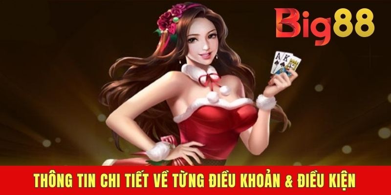 Thông tin chi tiết về từng điều khoản & điều kiện