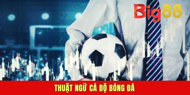Thuật Ngữ Cá Độ Bóng Đá - Cẩm Nang Giải Mã Cho Dân Chơi