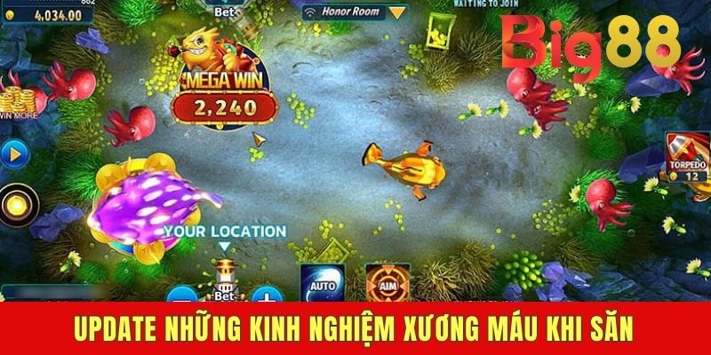 Update những kinh nghiệm xương máu khi săn